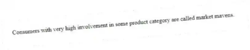 Consumers with very high involvement in some product category are called market mavens.