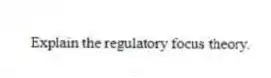 Explain the regulatory focus theory.