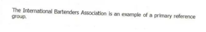 The International Bartenders Association is an example of a primary reference group.