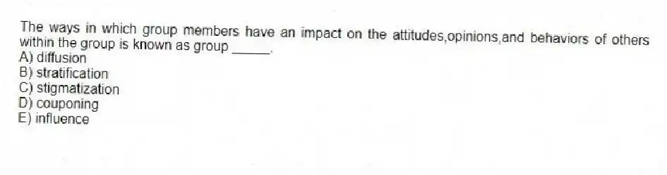 The ways in which group members have an impact on the attitudes,opinions,and behaviors of others within the group is known as group _____.
A) diffusion
B) stratification
C) stigmatization
D) couponing
E) influence