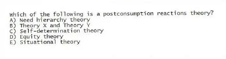 Which of the following is a postconsumption reactions theory?
A) Need hierarchy theory
B) Theory X and Theory Y
C) Self-determination theory
D) Equity theory
E) Situational theory
