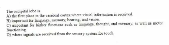 The occipital lobe is
A) the first place in the cerebral cortex where visual information is received.
B) important for language, memory, hearing, and vision.
C) important for higher functions such as language, thought, and memory, as well as motor functioning.
D) where signals are received from the sensory system for touch.