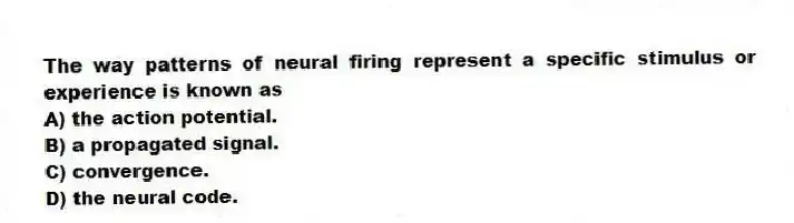 The way patterns of neural firing represent a specific stimulus or experience is known as
A) the action potential.
B) a propagated signal.
C) convergence.
D) the neural code.