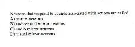Neurons that respond to sounds associated with actions are called
A) mirror neurons.
B) audiovisual mirror neurons.
C) audio mirror neurons.
D) visual mirror neurons.