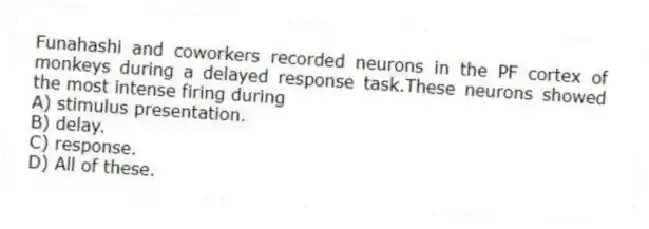 Funahashi and coworkers recorded neurons in the PF cortex of monkeys during a delayed response task.These neurons showed the most intense firing during
A) stimulus presentation.
B) delay.
C) response.
D) All of these.