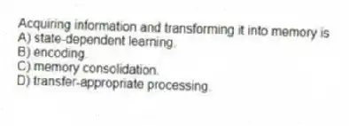 Acquiring information and transforming it into memory is
A) state-dependent learning.
B) encoding.
C) memory consolidation.
D) transfer-appropriate processing.