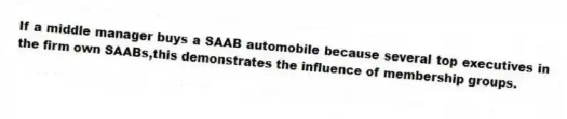 If a middle manager buys a SAAB automobile because several top executives in the firm own SAABs,this demonstrates the influence of membership groups.