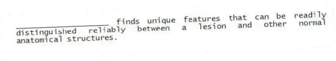 ____________________ finds unique features that can be readily distinguished reliably between a lesion and other normal anatomical structures.