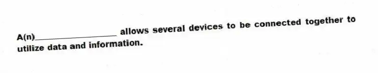 A(n)____________________ allows several devices to be connected together to utilize data and information.