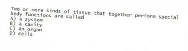 Two or more kinds of tissue that together perform special body functions are called
A) a system
B) a cavity
C) an organ
D) cells