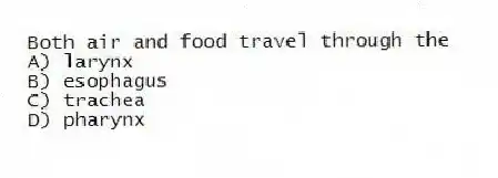 Both air and food travel through the
A) larynx
B) esophagus
C) trachea
D) pharynx