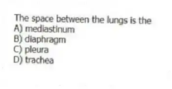 The space between the lungs is the
A) mediastinum
B) diaphragm
C) pleura
D) trachea