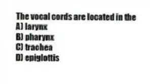 The vocal cords are located in the
A) larynx
B) pharynx
C) trachea
D) epiglottis