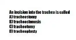An incision into the trachea is called
A) tracheostomy
B) tracheostenosis
C) tracheotomy
D) tracheoplasty