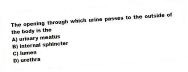 The opening through which urine passes to the outside of the body is the
A) urinary meatus
B) internal sphincter
C) lumen
D) urethra
