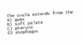 The uvula extends from the
A) gums
B) soft palate
C) pharynx
D) esophagus