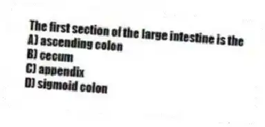 The first section of the large intestine is the
A) ascending colon
B) cecum
C) appendix
D) sigmoid colon