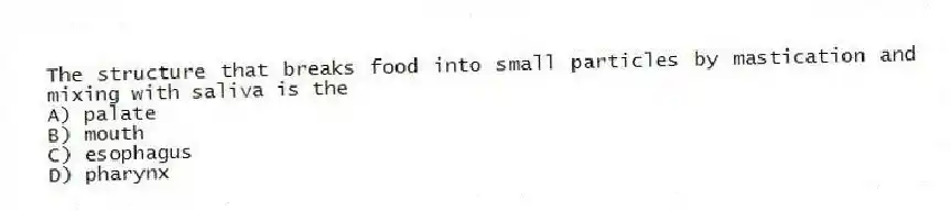 The structure that breaks food into small particles by mastication and mixing with saliva is the
A) palate
B) mouth
C) esophagus
D) pharynx