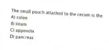 The small pouch attached to the cecum is the
A) colon
B) ileum
C) appendix
D) pancreas