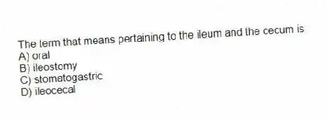 The term that means pertaining to the ileum and the cecum is
A) oral
B) ileostomy
C) stomatogastric
D) ileocecal