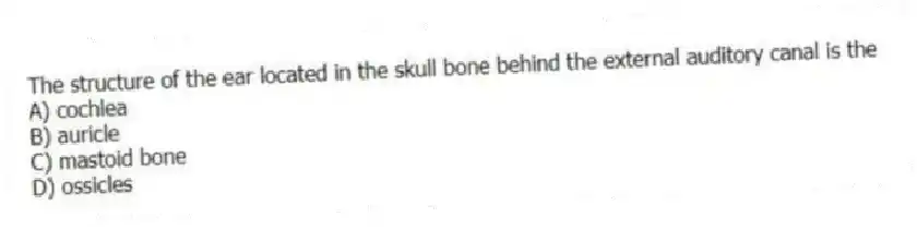 The structure of the ear located in the skull bone behind the external auditory canal is the
A) cochlea
B) auricle
C) mastoid bone
D) ossicles