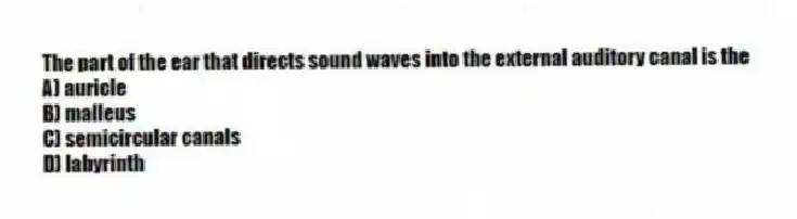 The part of the ear that directs sound waves into the external auditory canal is the
A) auricle
B) malleus
C) semicircular canals
D) labyrinth