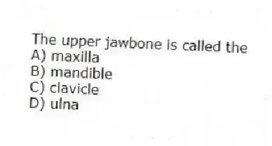The upper jawbone is called the
A) maxilla
B) mandible
C) clavicle
D) ulna