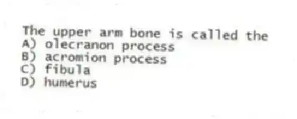 The upper arm bone is called the
A) olecranon process
B) acromion process
C) fibula
D) humerus