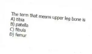 The term that means upper leg bone is
A) tibia
B) patella
C) fibula
D) femur