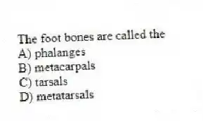 The foot bones are called the
A) phalanges
B) metacarpals
C) tarsals
D) metatarsals