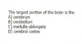 The largest portion of the brain is the
A) cerebrum
B) cerebellum
C) medulla oblongata
D) cerebral cortex