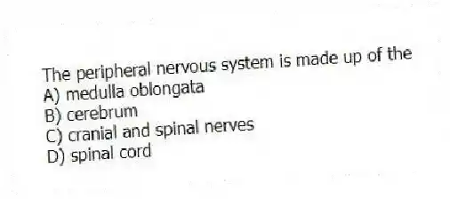 The peripheral nervous system is made up of the
A) medulla oblongata
B) cerebrum
C) cranial and spinal nerves
D) spinal cord