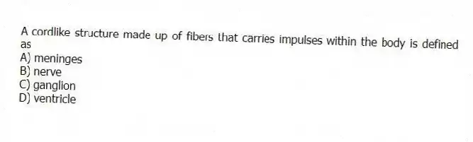 A cordlike structure made up of fibers that carries impulses within the body is defined as
A) meninges
B) nerve
C) ganglion
D) ventricle