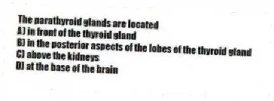 The parathyroid glands are located
A) in front of the thyroid gland
B) in the posterior aspects of the lobes of the thyroid gland
C) above the kidneys
D) at the base of the brain