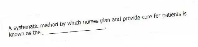 A systematic method by which nurses plan and provide care for patients is known as the _________ ____________.