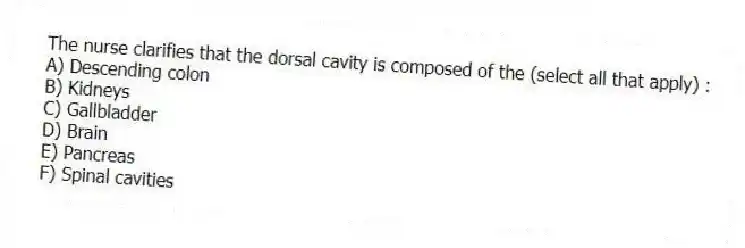 The nurse clarifies that the dorsal cavity is composed of the (select all that apply) :
A) Descending colon
B) Kidneys
C) Gallbladder
D) Brain
E) Pancreas
F) Spinal cavities