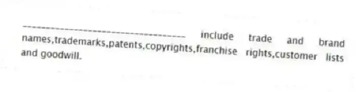 ___________________________________ include trade and brand names,trademarks,patents,copyrights,franchise rights,customer lists and goodwill.
