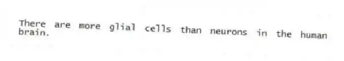 There are more glial cells than neurons in the human brain.