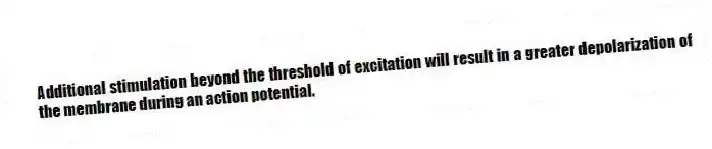 Additional stimulation beyond the threshold of excitation will result in a greater depolarization of the membrane during an action potential.