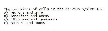The two kinds of cells in the nervous system are:
A) neurons and glia
B) dendrites and axons
C) ribosomes and lysosomes
D) neurons and axons