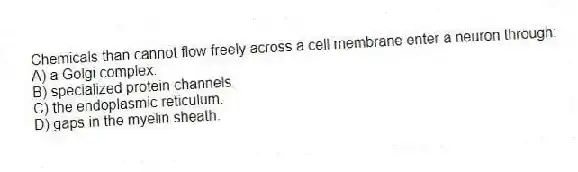 Chemicals than cannot flow freely across a cell membrane enter a neuron through:
A) a Golgi complex.
B) specialized protein channels.
C) the endoplasmic reticulum.
D) gaps in the myelin sheath.