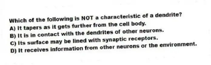 Which of the following is NOT a characteristic of a dendrite?
A) It tapers as it gets further from the cell body.
B) It is in contact with the dendrites of other neurons.
C) Its surface may be lined with synaptic receptors.
D) It receives information from other neurons or the environment.