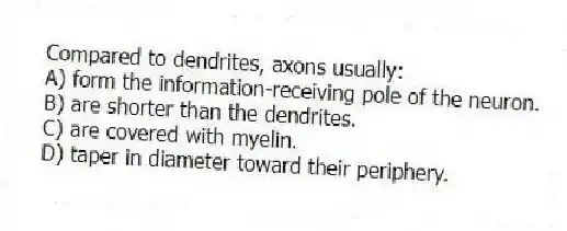 Compared to dendrites, axons usually:
A) form the information-receiving pole of the neuron.
B) are shorter than the dendrites.
C) are covered with myelin.
D) taper in diameter toward their periphery.