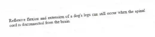 Reflexive flexion and extension of a dog's legs can still occur when the spinal cord is disconnected from the brain.