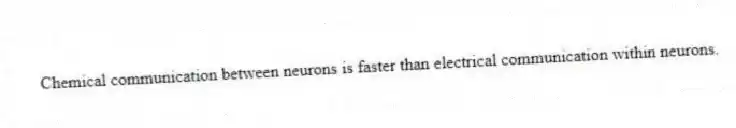 Chemical communication between neurons is faster than electrical communication within neurons.