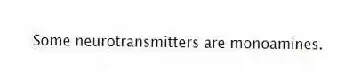 Some neurotransmitters are monoamines.