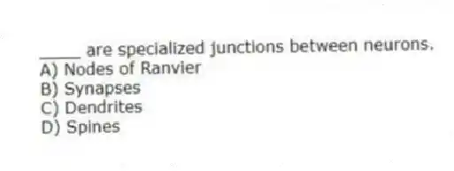 ____ are specialized junctions between neurons.
A) Nodes of Ranvier
B) Synapses
C) Dendrites
D) Spines