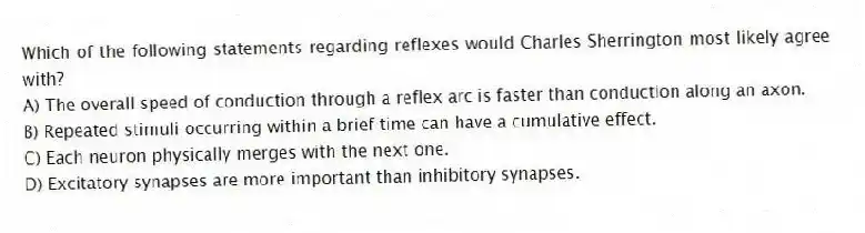 Which of the following statements regarding reflexes would Charles Sherrington most likely agree with?
A) The overall speed of conduction through a reflex arc is faster than conduction along an axon.
B) Repeated stimuli occurring within a brief time can have a cumulative effect.
C) Each neuron physically merges with the next one.
D) Excitatory synapses are more important than inhibitory synapses.