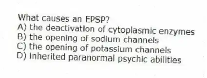 What causes an EPSP?
A) the deactivation of cytoplasmic enzymes
B) the opening of sodium channels
C) the opening of potassium channels
D) inherited paranormal psychic abilities