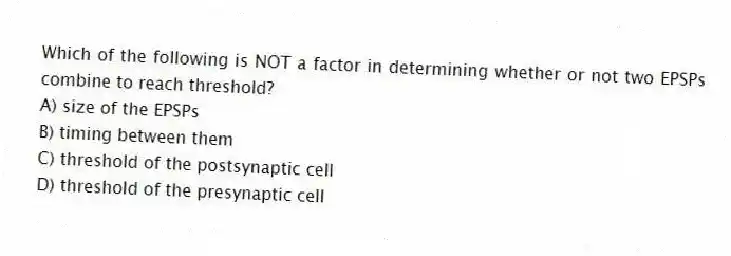 Which of the following is NOT a factor in determining whether or not two EPSPs combine to reach threshold?
A) size of the EPSPs
B) timing between them
C) threshold of the postsynaptic cell
D) threshold of the presynaptic cell